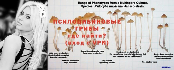 альфа пвп VHQ Белокуриха